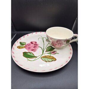 Blue Ridge Southern Potteries Hand-Painted Floral Cup Saucer Set - 7" Plate Cup